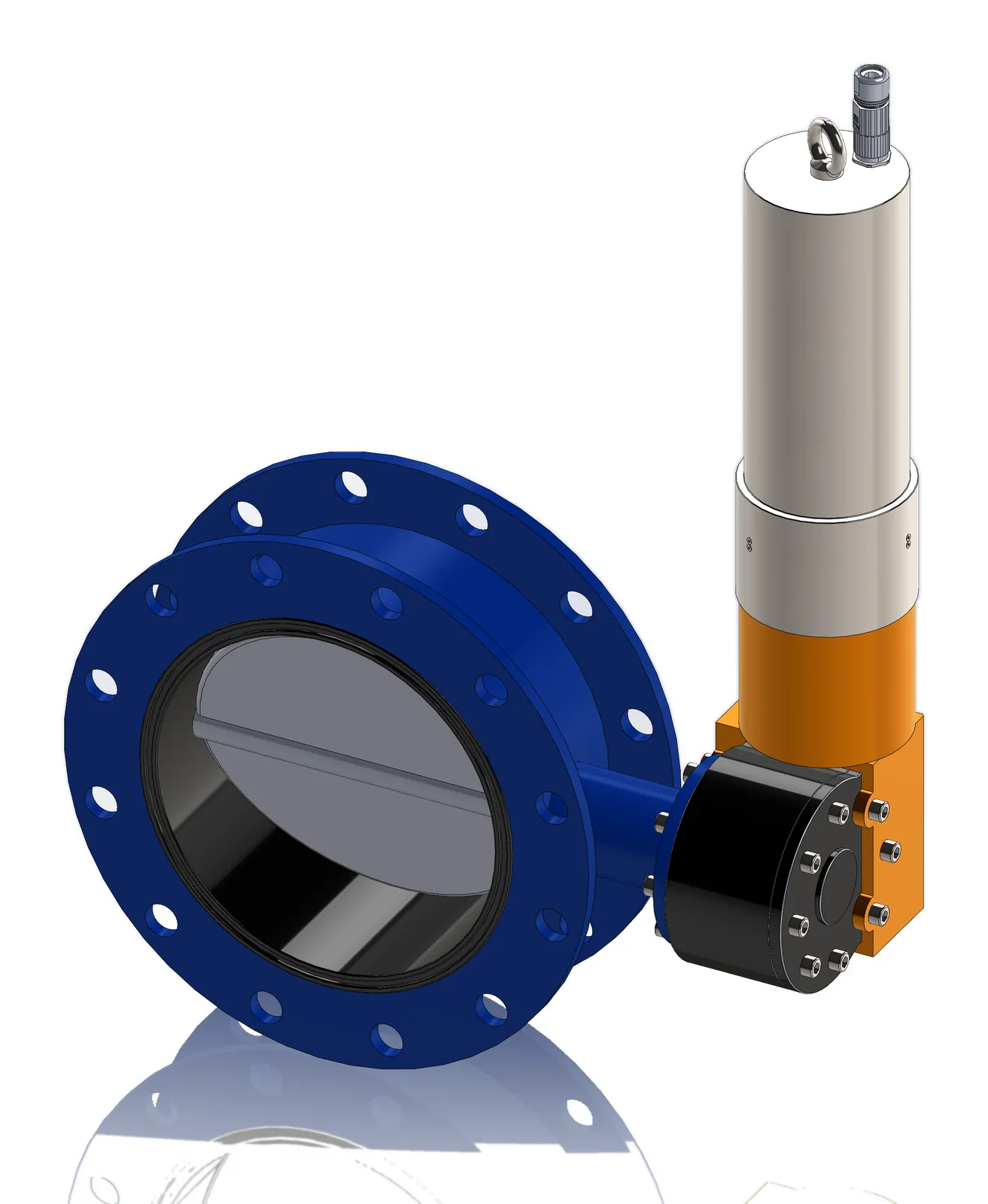 Butterfly valve variant